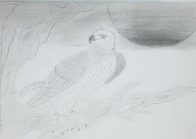 photo_2023-12-15_12-39-28