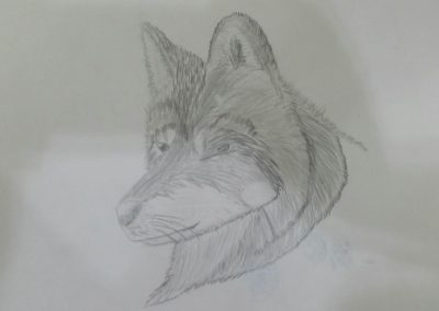 photo_2023-12-15_12-40-32