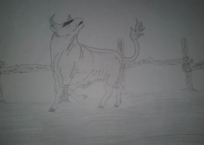 photo_2023-12-15_12-41-28