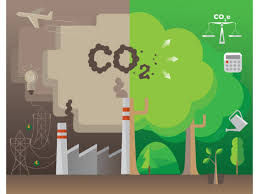 البصمة الكربونية